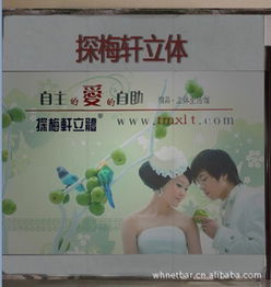 鄭州市金水區(qū)探梅軒技術咨詢服務部 藝術品鑒賞與工藝畫收藏指南